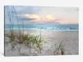 Beach Driftwood - Canvas Print