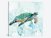 Sea Turtle Swim I - Canvas Print