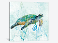 Sea Turtle Swim I - Canvas Print